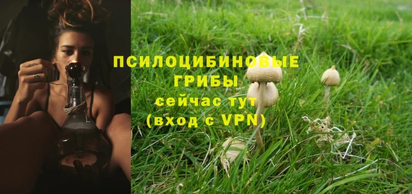 герыч Ельня