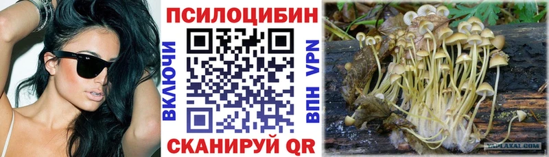 блэк спрут как зайти  Канск  Галлюциногенные грибы мухоморы 